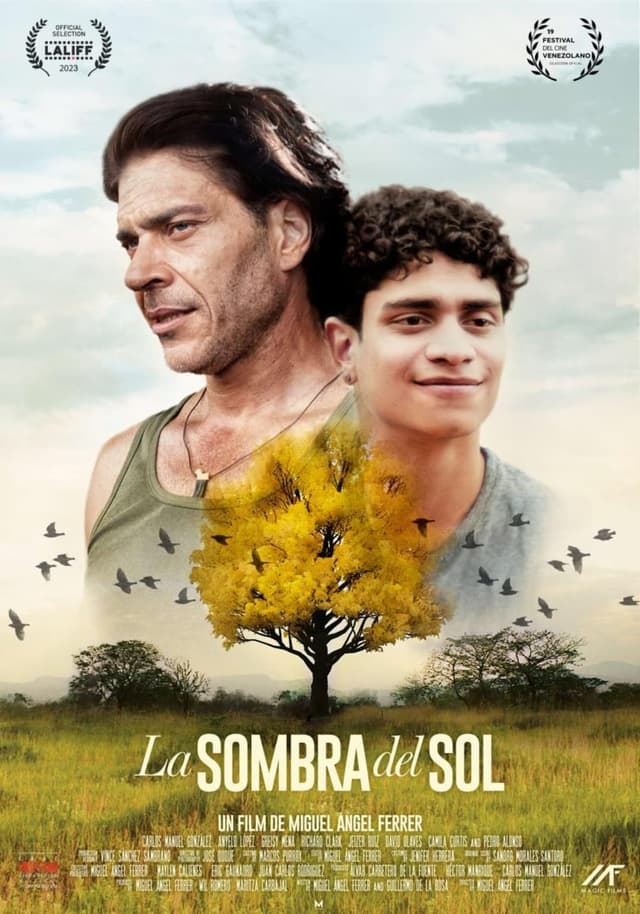 LA SOMBRA DEL SOL
