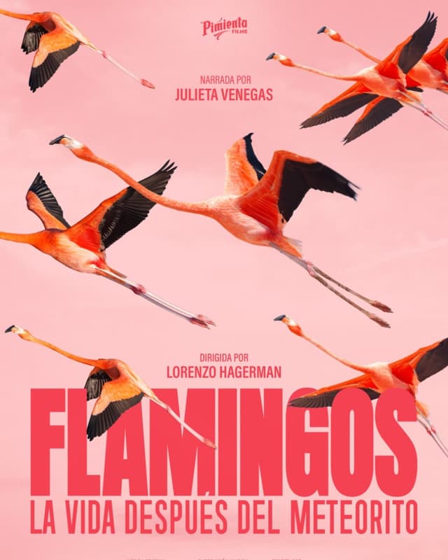 FLAMINGOS, LA VIDA DESPUÉS DEL METEORITO