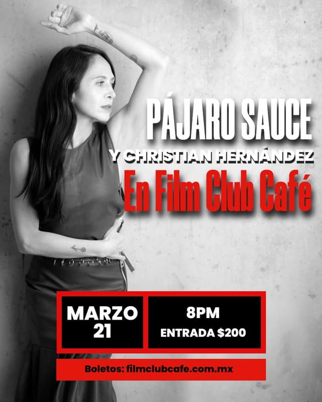 PÁJARO SAUCE Y CHRISTIAN HERNÁNDEZ EN CONCIERTO